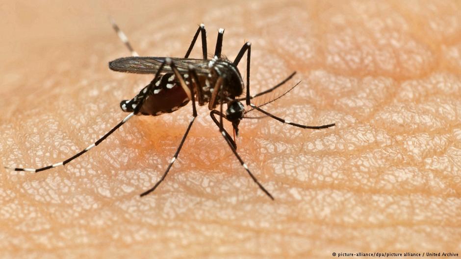 Casa Branca pede US$ 1,8 bi ao Congresso dos EUA para combater zika