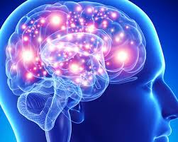 Falha de células imunitárias agrava doença de Alzheimer
